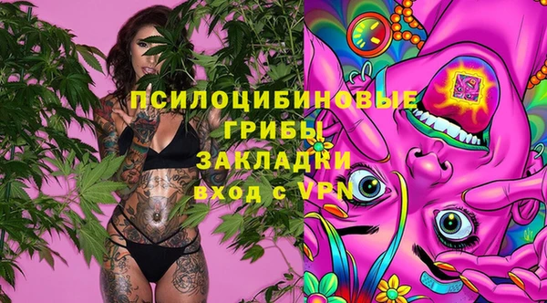 не бодяженный Арсеньев