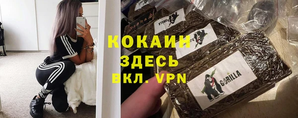 не бодяженный Арсеньев
